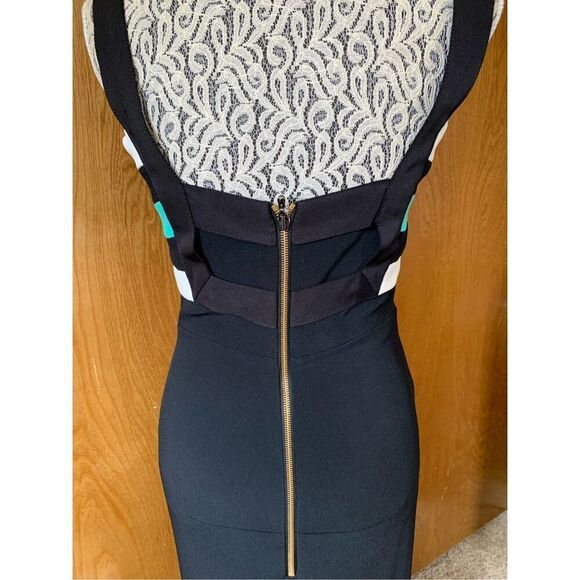 Roland Mouret Persian Double Stretch Crepe Gown Black, Mint, White Size 6 - Picture 6 of 12